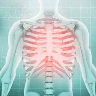 Quiz : le corps humain. © jijomathai, Fotolia